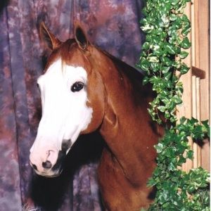 Meet your Posher, Melanie